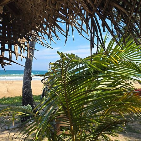 Talalla Beach Bungalows ภายนอก รูปภาพ